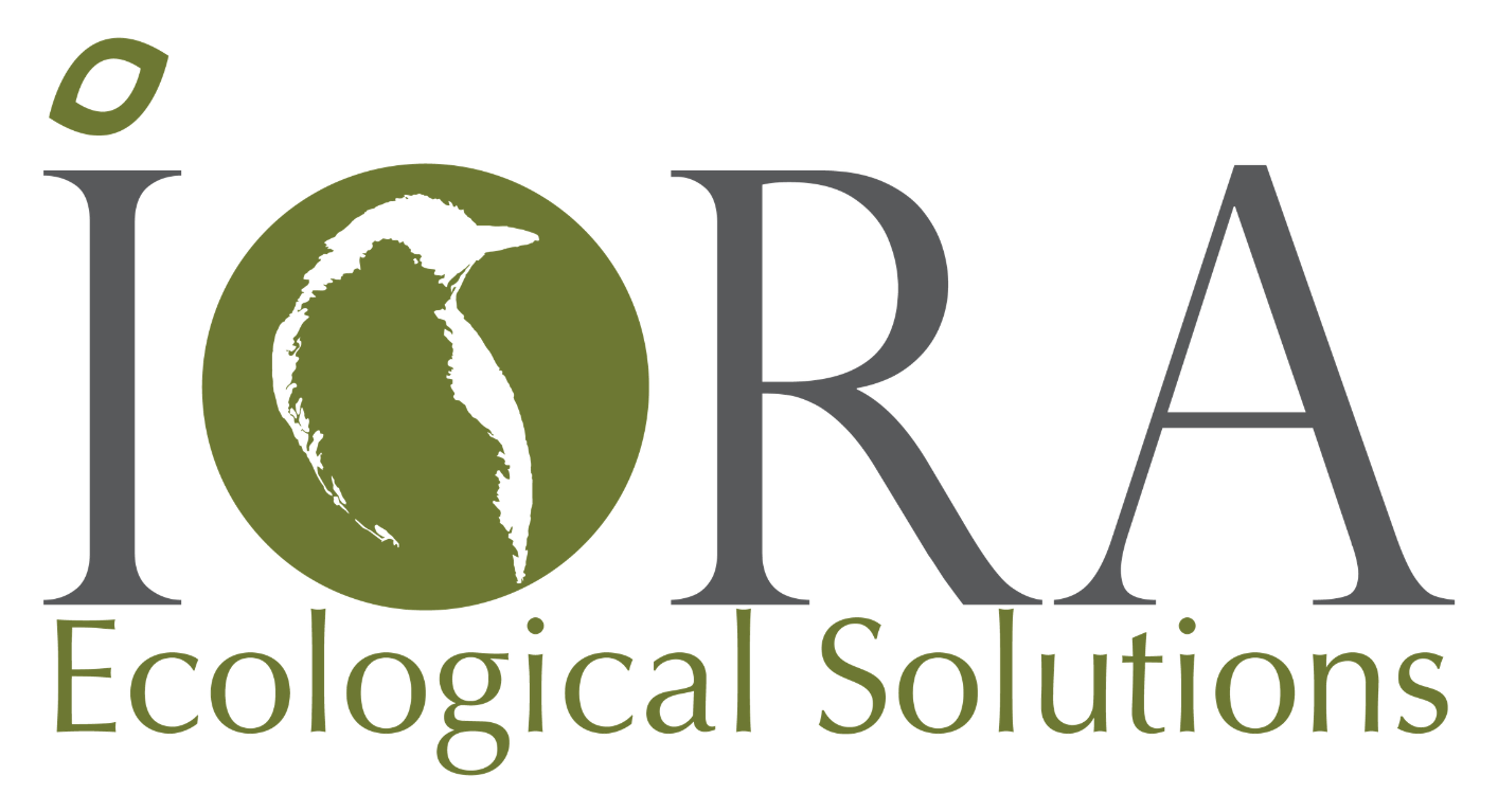 IORA